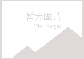 安国山柏会计有限公司